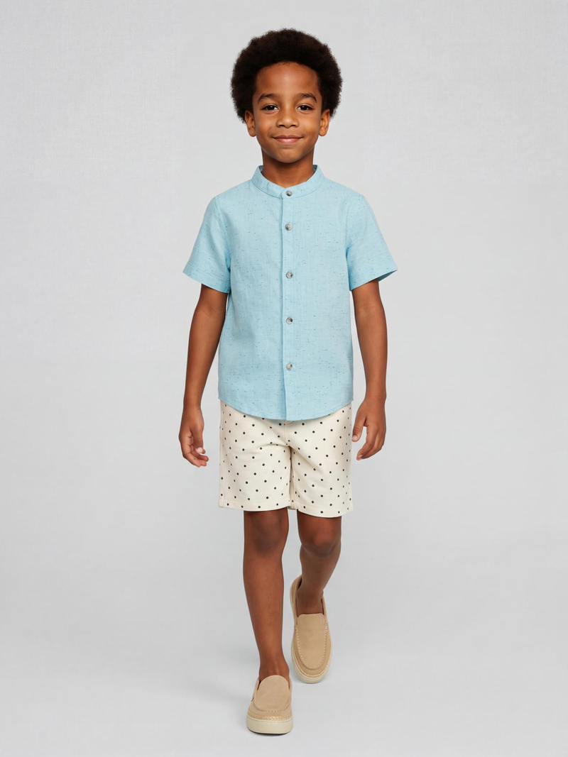 Light Blue Mandarin Collar Shirt