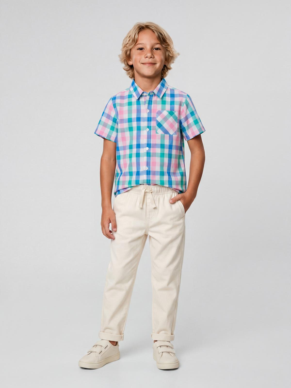 Multicolor Checks Half Sleeve Shirt